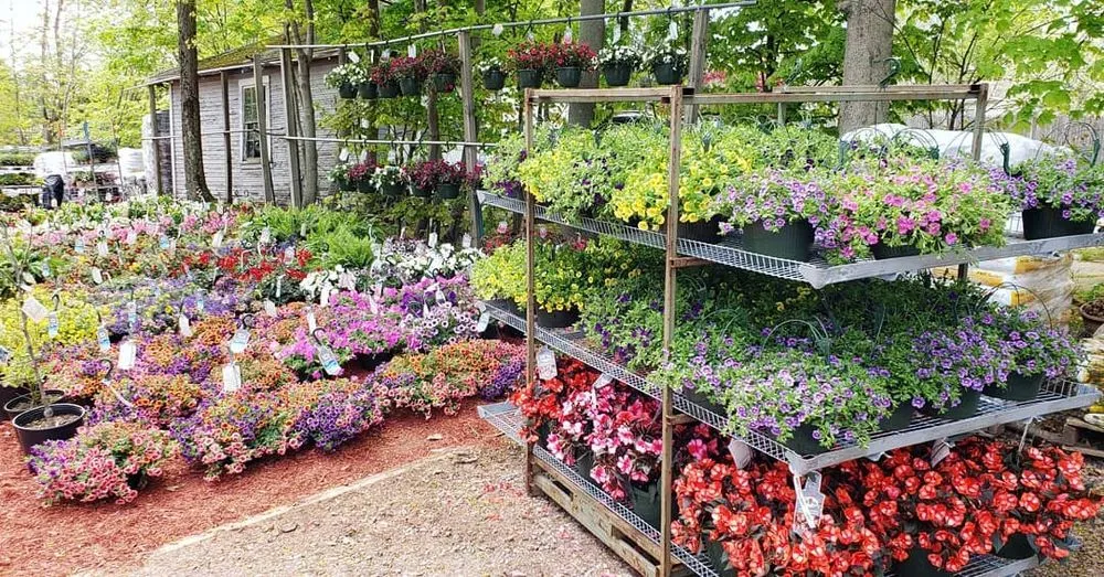 Top-rated lawn mowing service with custom design in Randolph, MA by West Corner Farm Garden & Landscaping