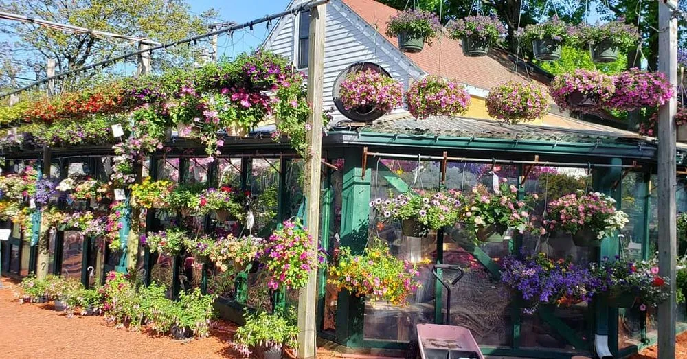 Custom landscaping services in Randolph, MA - West Corner Farm Garden & Landscaping