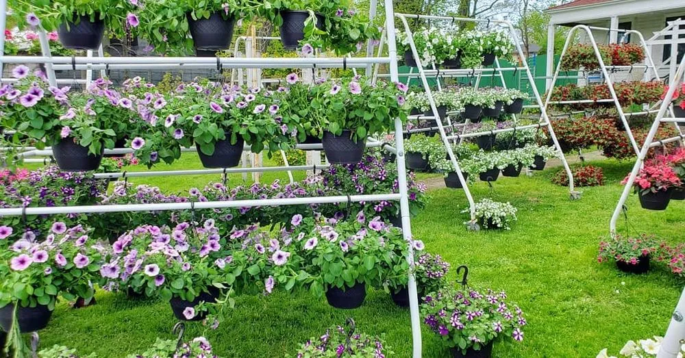 Trusted garden landscaping in Randolph, MA - West Corner Farm Garden & Landscaping