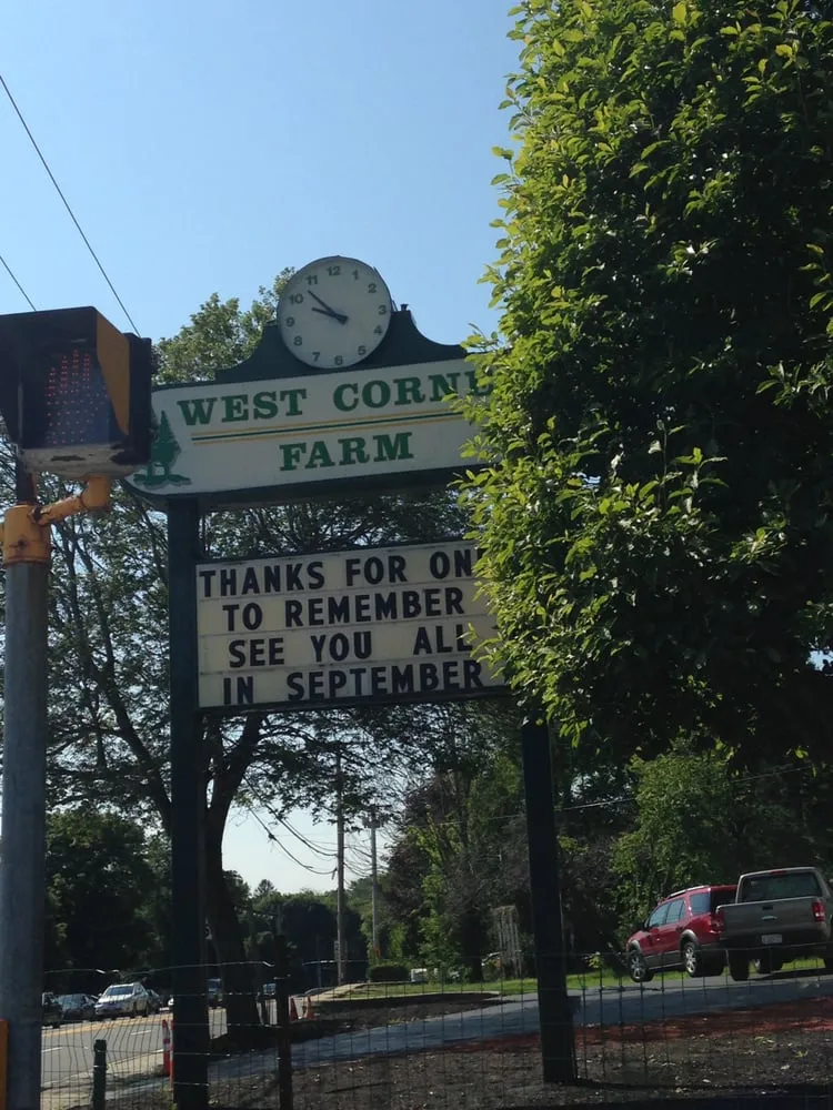 Professional garden landscaping for homes in Randolph, MA by West Corner Farm Garden & Landscaping