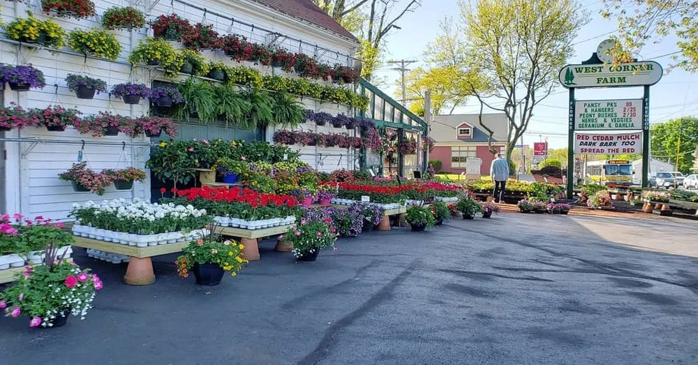 Local landscape installation experts serving Randolph, MA - West Corner Farm Garden & Landscaping
