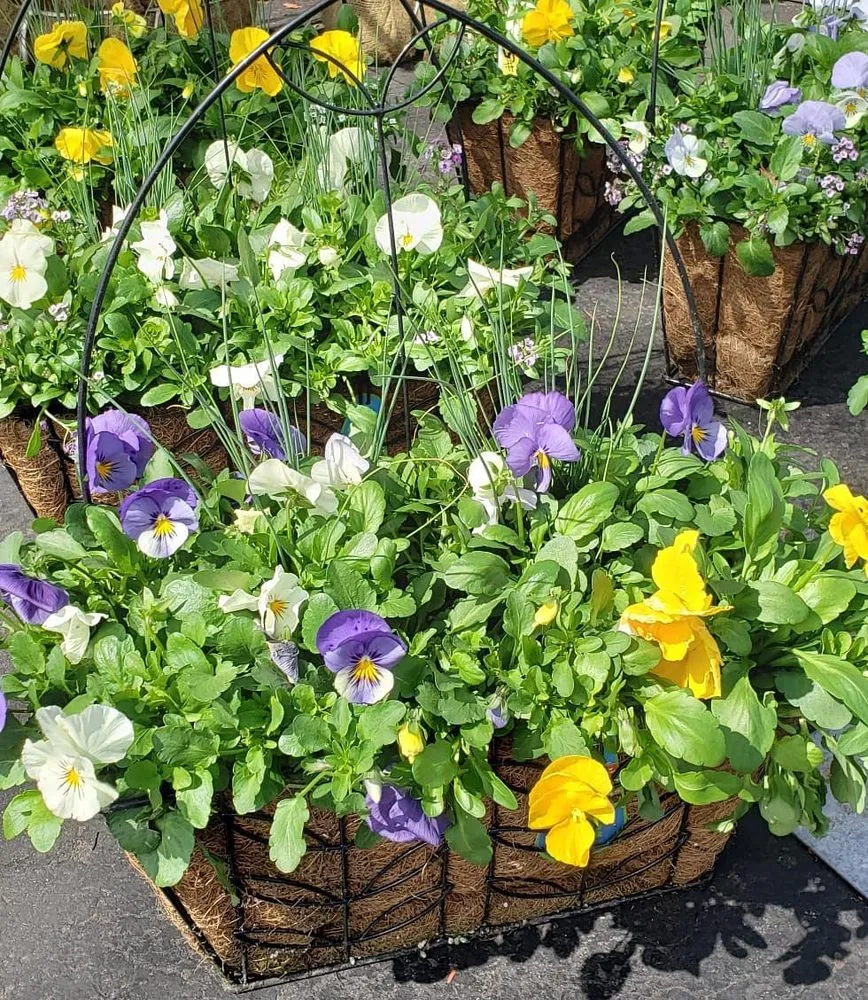 Reliable landscaping services near you across Randolph, MA - West Corner Farm Garden & Landscaping