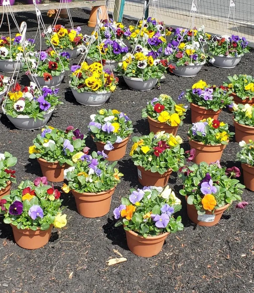 Reliable yard cleanup service for residential properties across Randolph, MA - West Corner Farm Garden & Landscaping