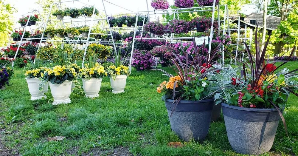 Affordable residential landscaping experts serving Randolph, MA - West Corner Farm Garden & Landscaping