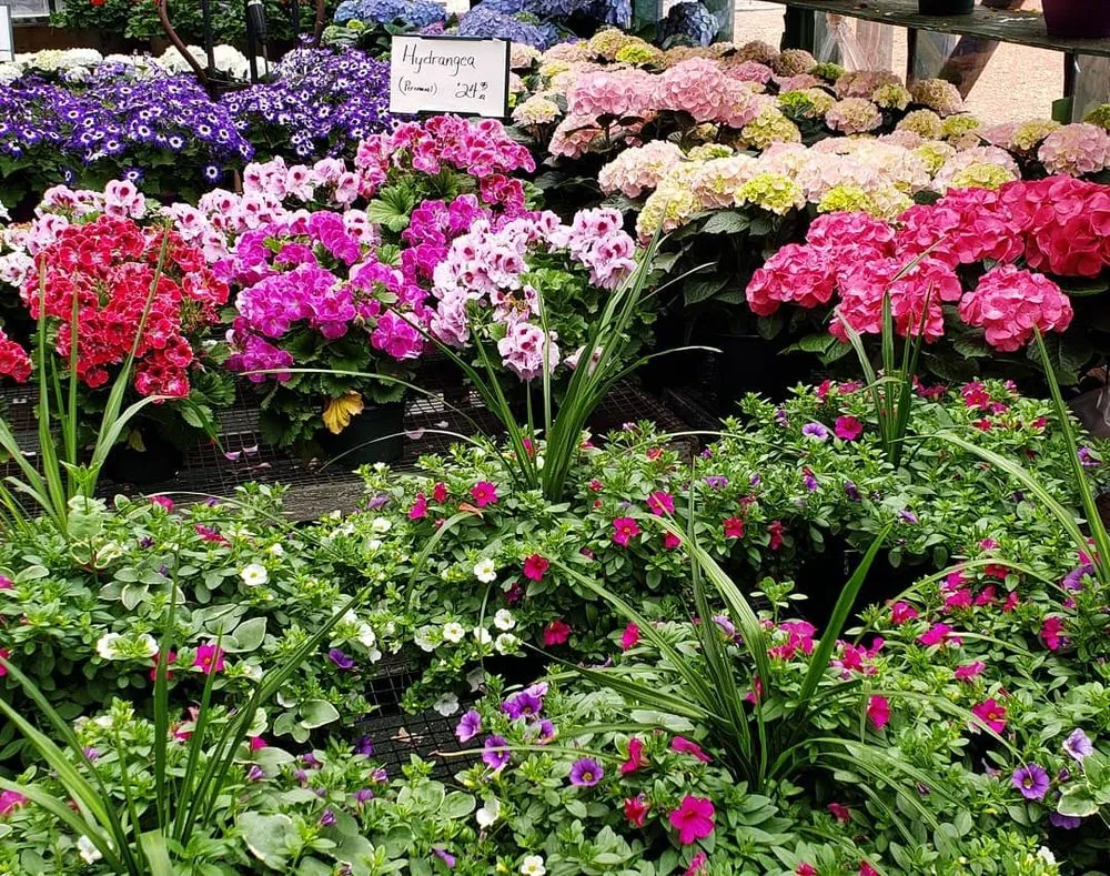 Reliable residential landscaping in Randolph, MA - West Corner Farm Garden & Landscaping