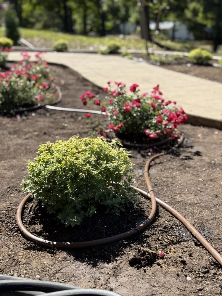 Affordable lawn care service with custom design across Saint Louis, MO - West County Gardens Inc