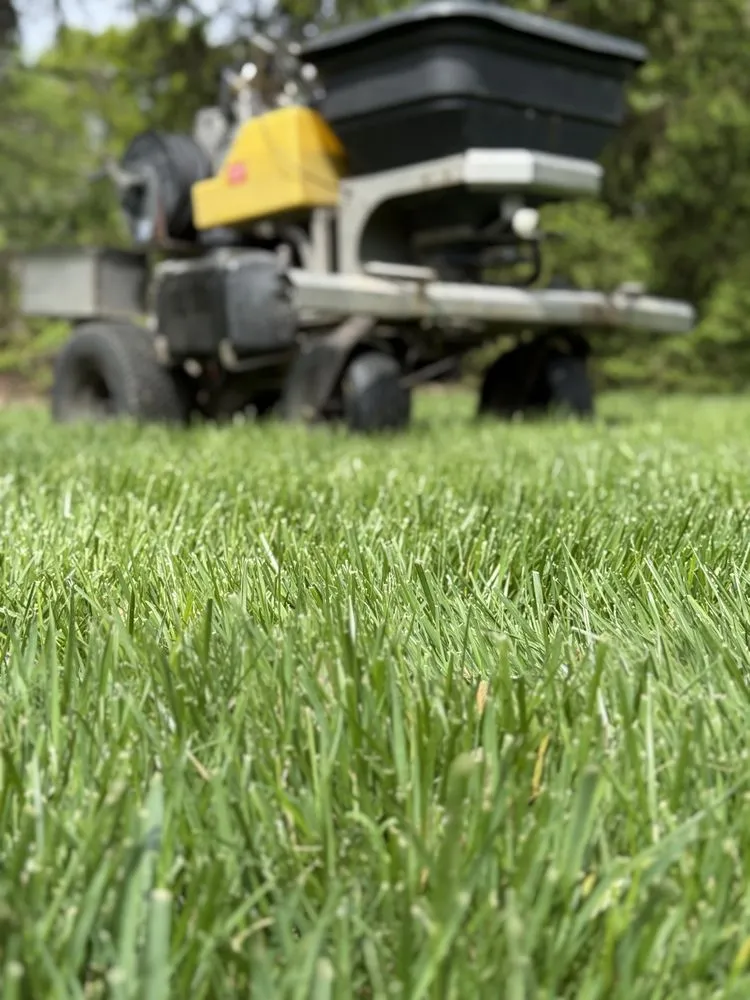 Top-rated landscape design with custom design in Saint Louis, MO by West County Gardens Inc