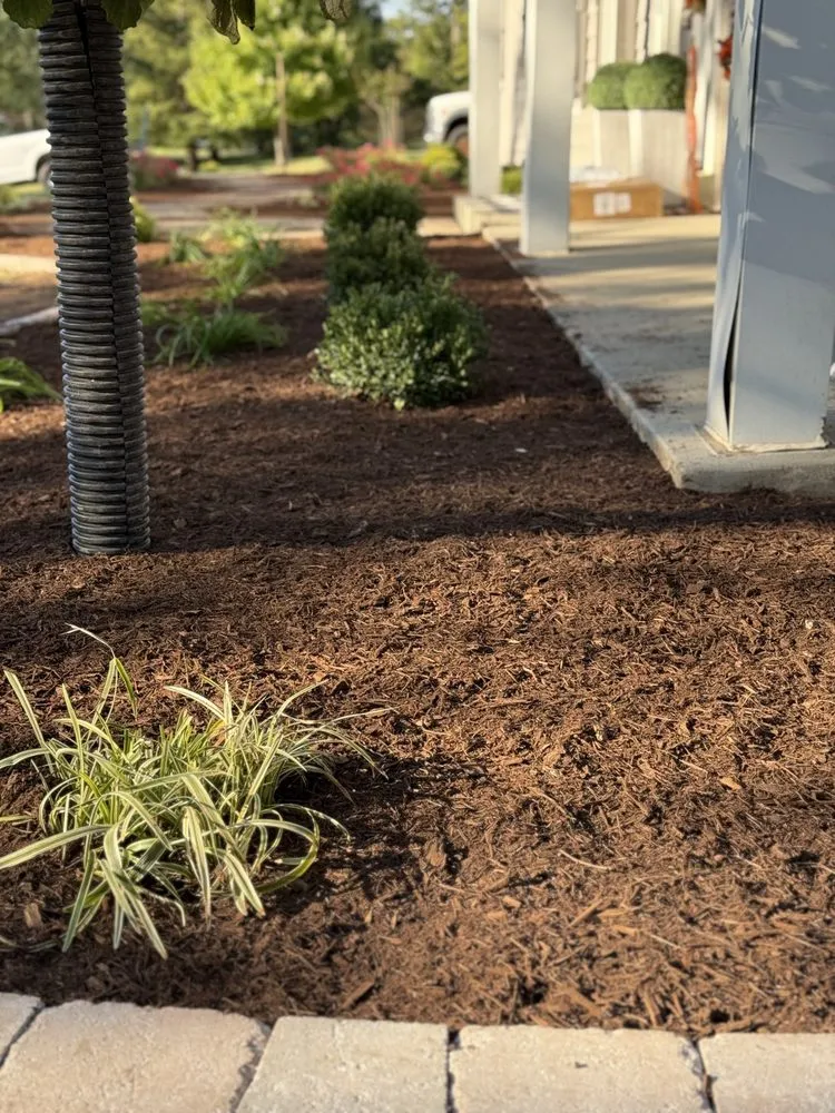 Reliable yard cleanup service in Saint Louis, MO by West County Gardens Inc