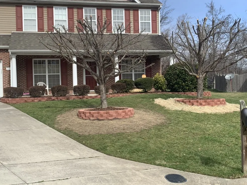 Professional outdoor landscaping in Trinity, NC - West Edge Landscapes