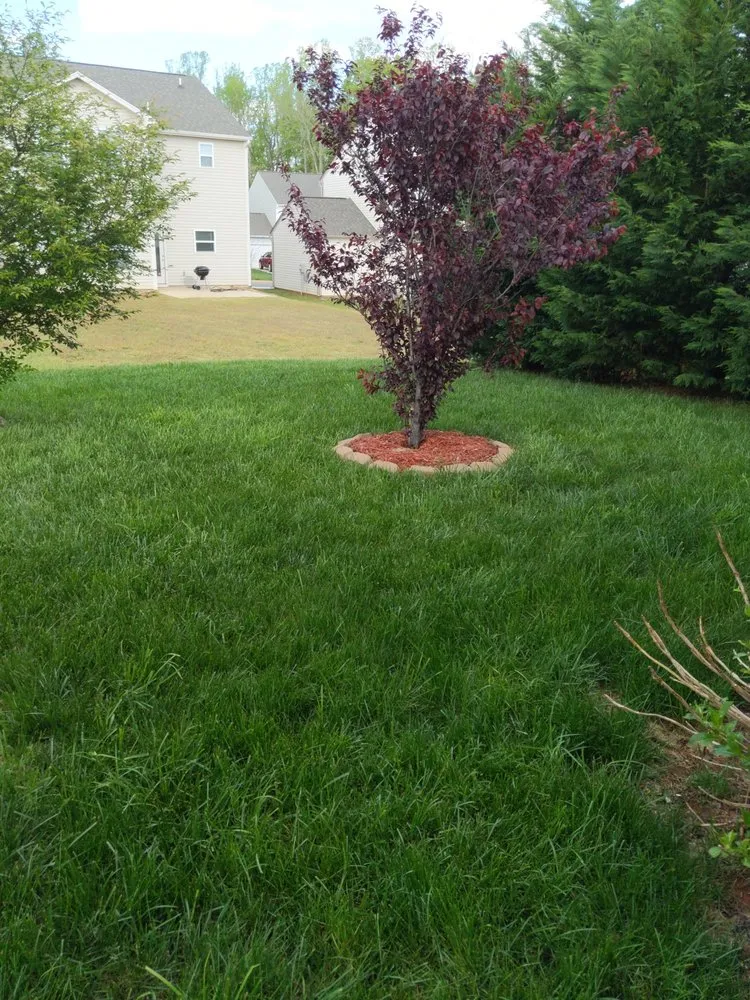 Trusted garden landscaping for year-round maintenance across Trinity, NC - West Edge Landscapes