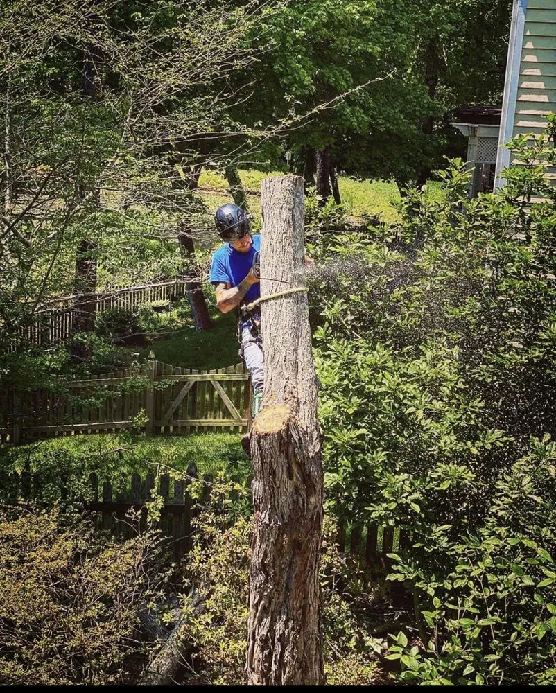 Top-rated landscape design for homes across Trinity, NC - West Edge Landscapes