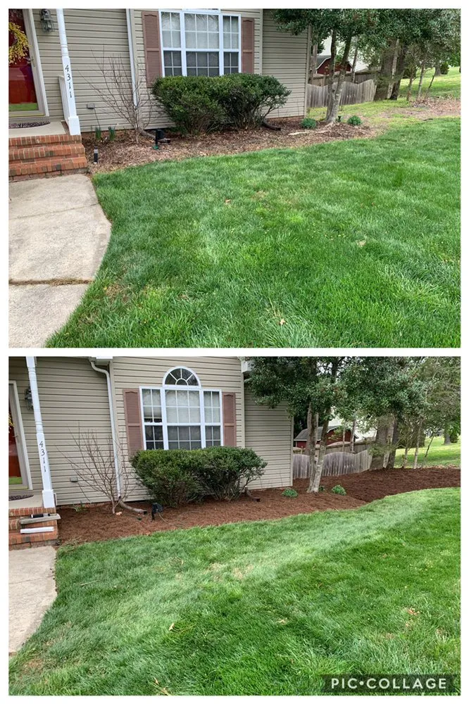 Reliable yard cleanup service in Trinity, NC - West Edge Landscapes