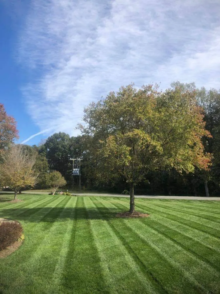 Top-rated landscaping services for homes across Trinity, NC - West Edge Landscapes