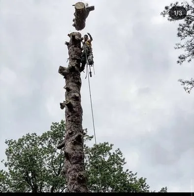 West Edge Landscapes