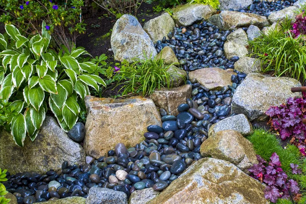 Local residential landscaping in Seattle, WA - West Edge Landworks