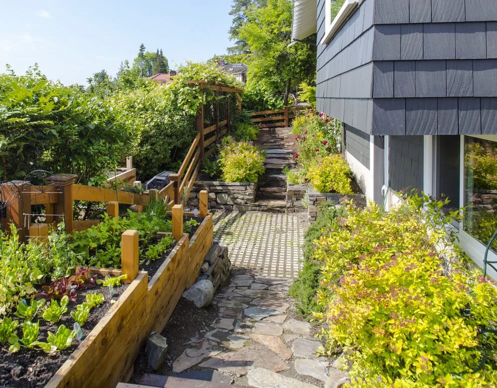 Reliable lawn care service for year-round maintenance across Seattle, WA - West Edge Landworks