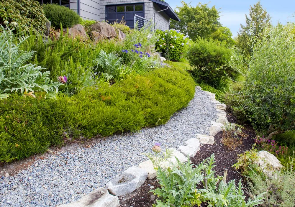 Trusted yard cleanup service experts serving Seattle, WA - West Edge Landworks