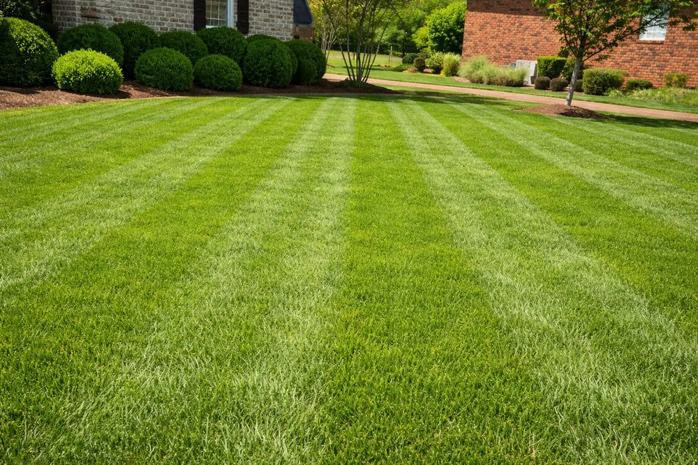 Affordable garden landscaping near you across Yonkers, NY - West Edge Outdoor Services