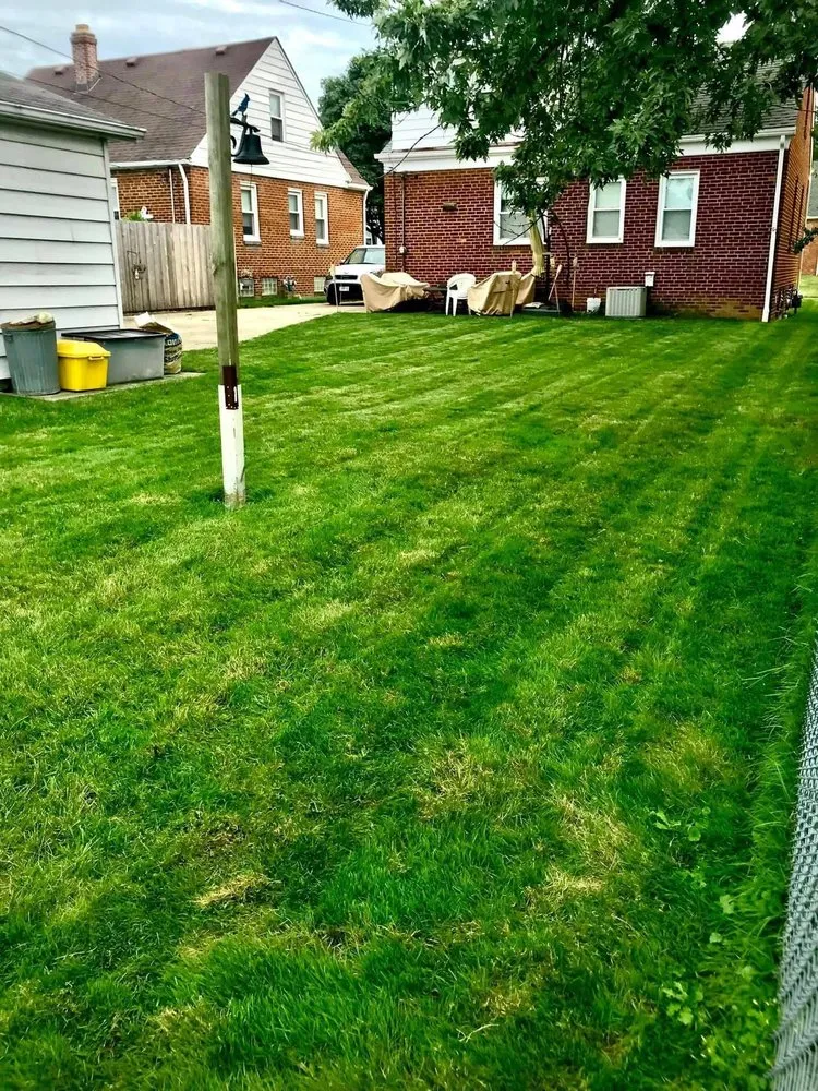 Top-rated lawn mowing service experts serving Cleveland, OH - West End Cleanouts