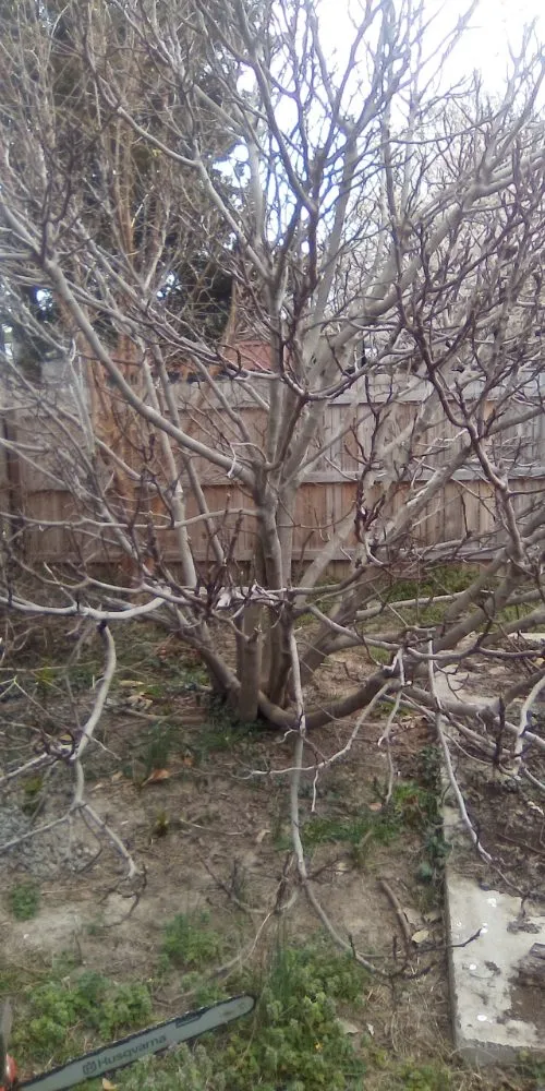 Expert outdoor landscaping in Richmond, VA by West End Lawn And Garden