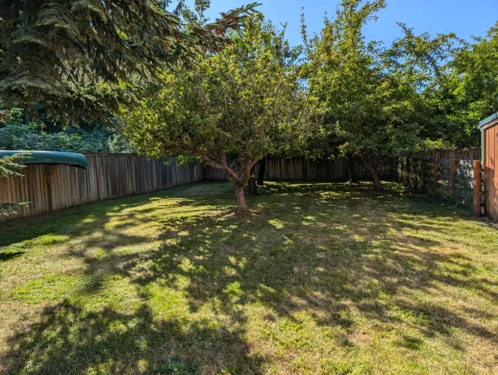 Affordable yard cleanup service for residential properties across Port Angeles, WA - West End Lawn and Home Care