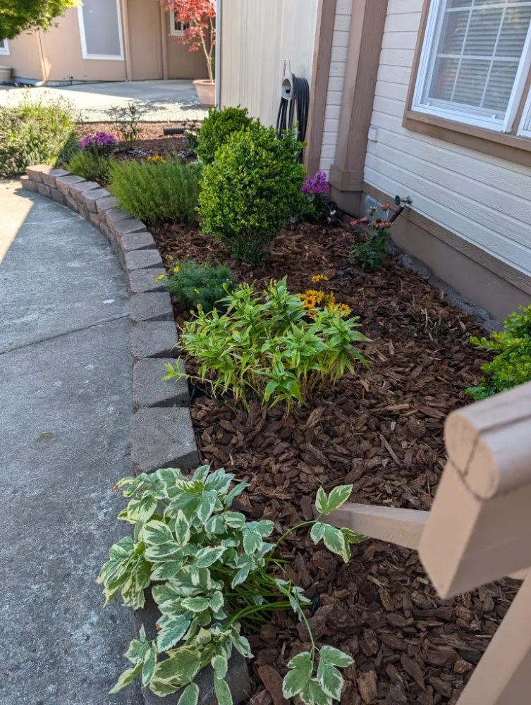 Professional landscaping services in Port Angeles, WA - West End Lawn and Home Care