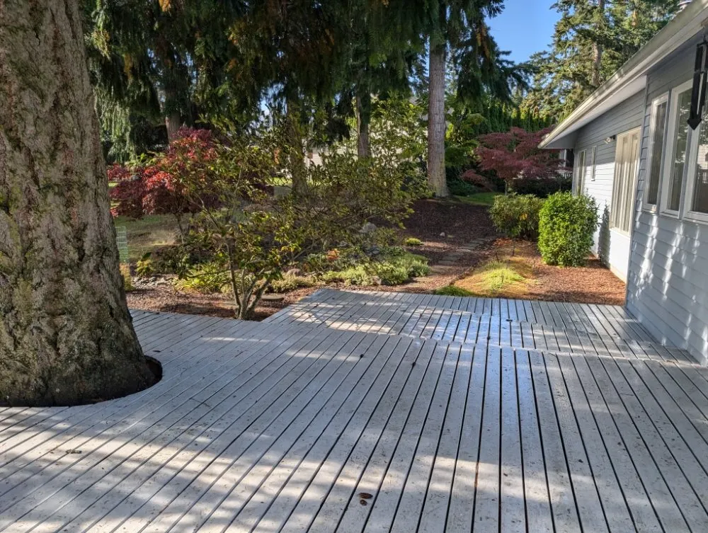 Professional yard cleanup service experts serving Port Angeles, WA - West End Lawn and Home Care