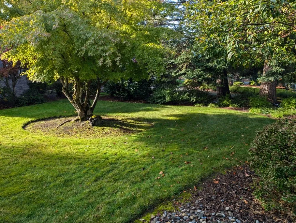 Trusted residential landscaping with custom design across Port Angeles, WA - West End Lawn and Home Care