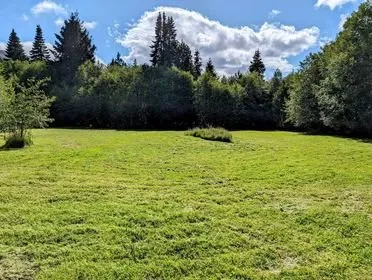 Affordable landscape installation near you in Port Angeles, WA by West End Lawn and Home Care