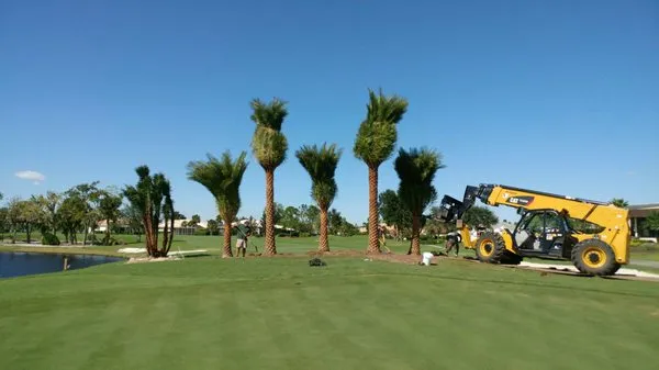 West Florida Landscape and Tree Logo