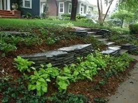 Custom yard maintenance in Lincoln, NE - West Fork Landscape and Tree Care