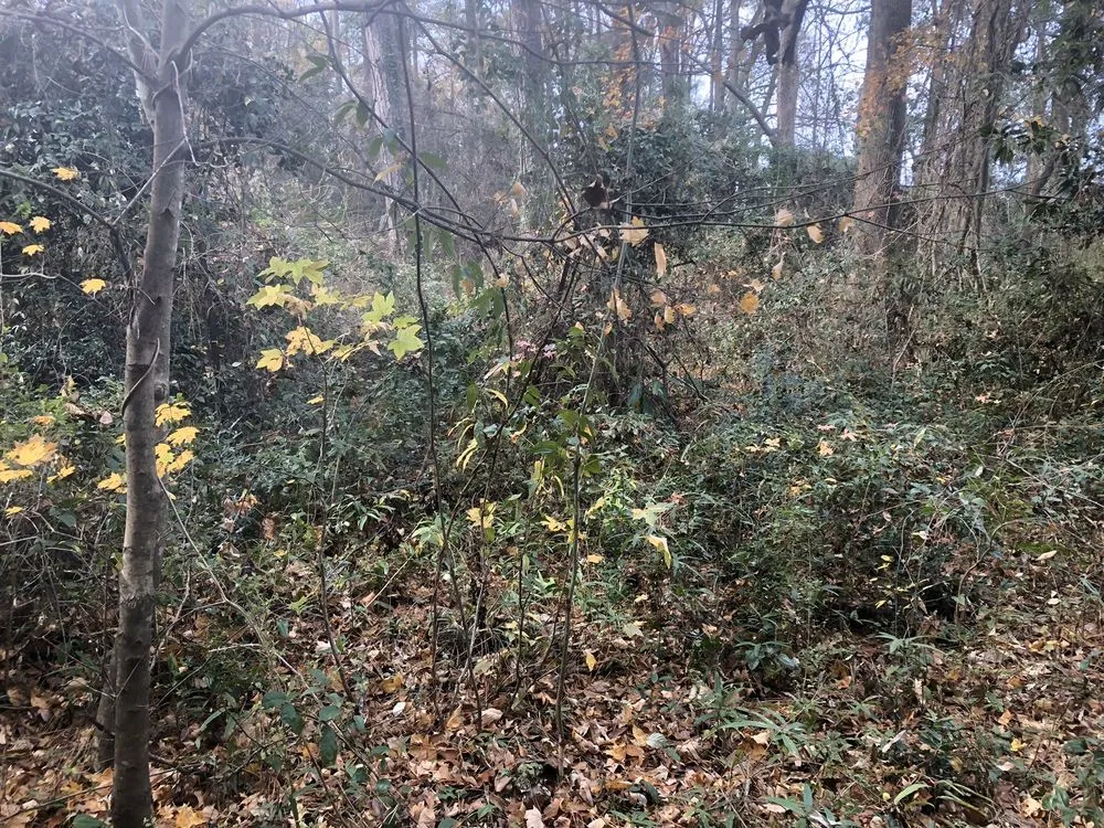 Professional landscape design in LaGrange, GA by West Georgia Landscape