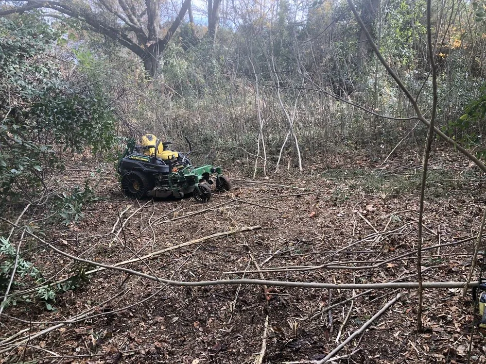 Affordable landscaping services for year-round maintenance in LaGrange, GA by West Georgia Landscape