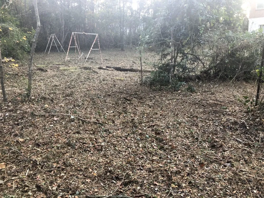 Top-rated yard maintenance experts serving LaGrange, GA - West Georgia Landscape