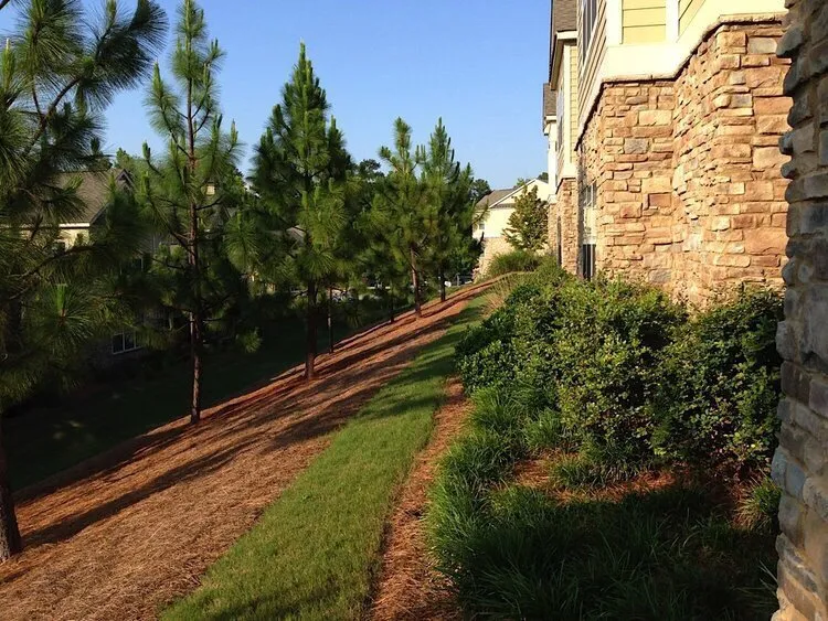 Expert residential landscaping with custom design in LaGrange, GA by West Georgia Landscape