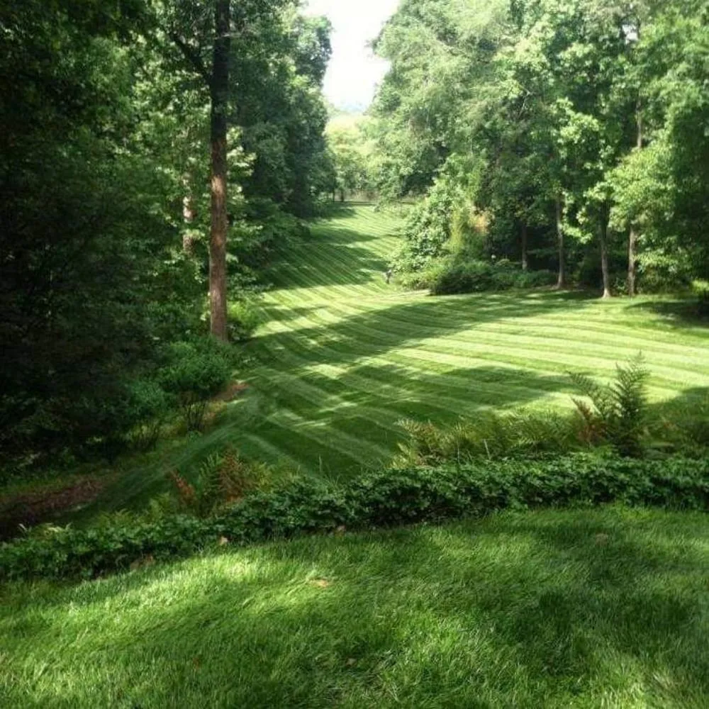 Trusted lawn mowing service in Douglasville, GA by West Georgia Professional Landscaping