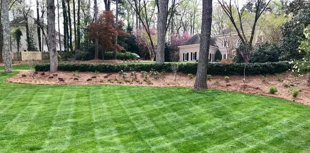 Custom landscape installation in Douglasville, GA by West Georgia Professional Landscaping