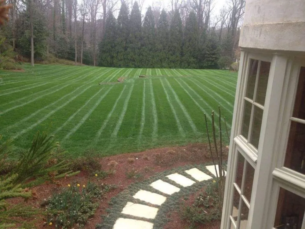 Local yard maintenance in Douglasville, GA by West Georgia Professional Landscaping