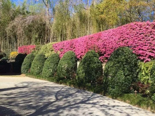 West Georgia Professional Landscaping