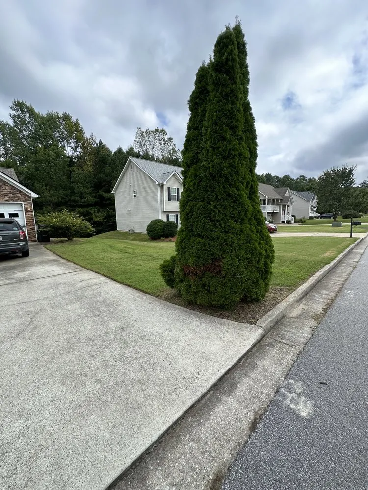 Expert landscape installation in Dallas, GA by West Georgia Property Solutions