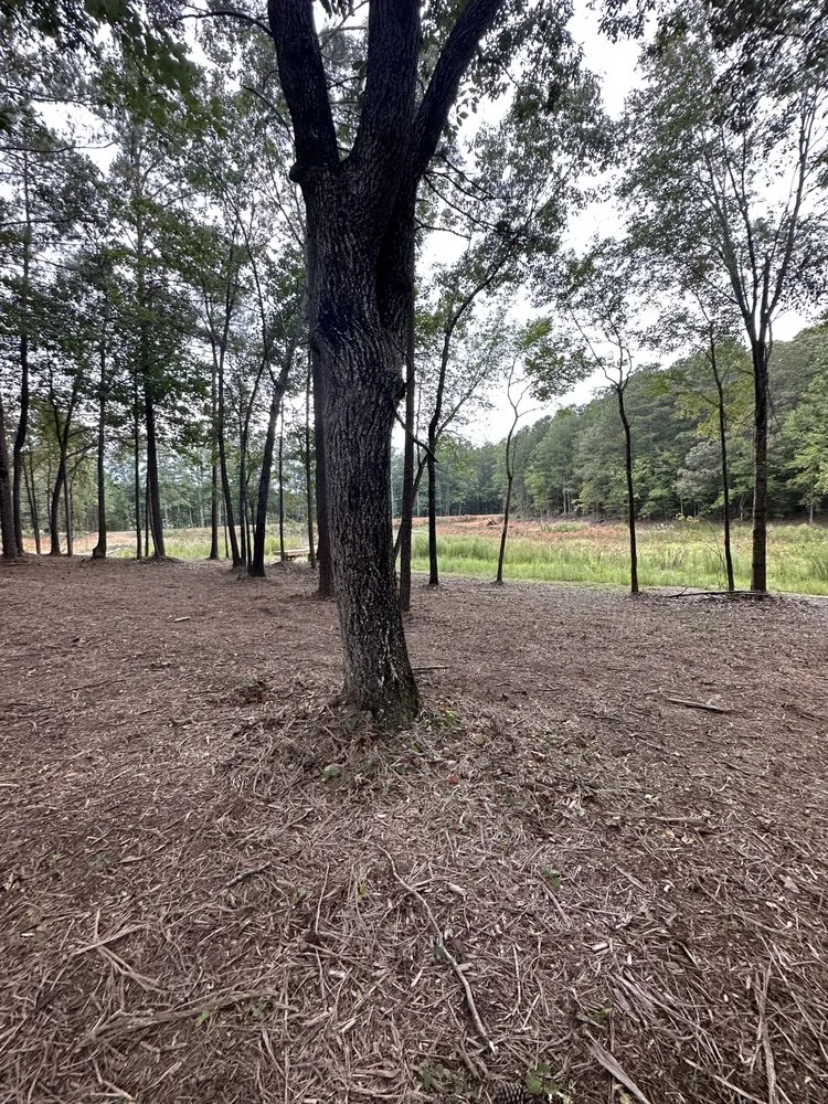 Professional outdoor landscaping in Dallas, GA by West Georgia Property Solutions