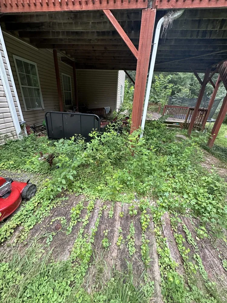 Reliable lawn mowing service with custom design in Dallas, GA by West Georgia Property Solutions