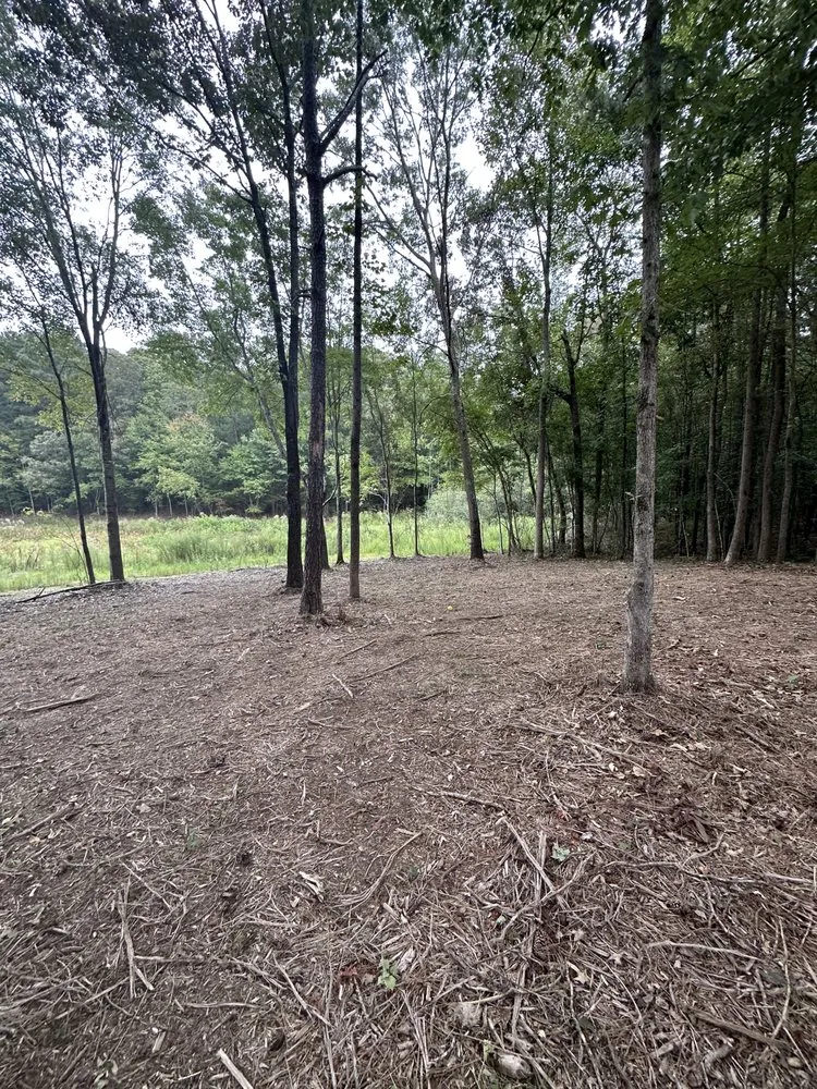 Local outdoor landscaping experts serving Dallas, GA - West Georgia Property Solutions