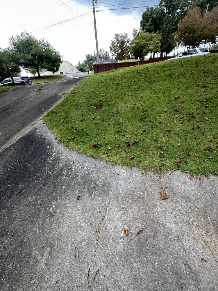 Custom residential landscaping for residential properties across Dallas, GA - West Georgia Property Solutions