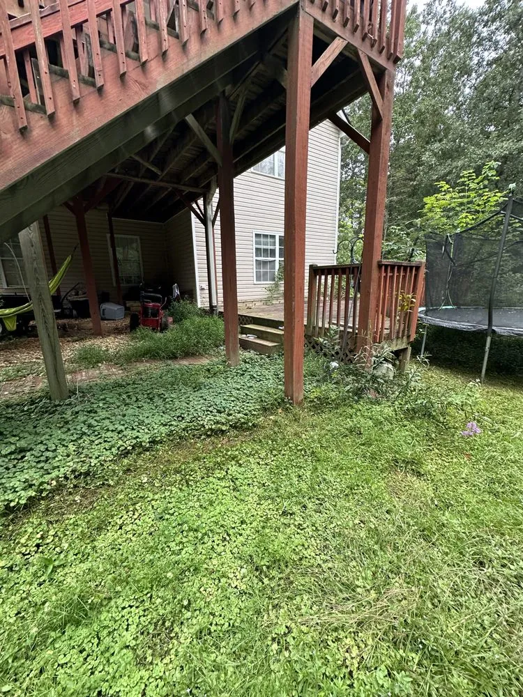 Top-rated yard cleanup service for outdoor upgrades across Dallas, GA - West Georgia Property Solutions