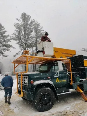 West Hill Tree Service
