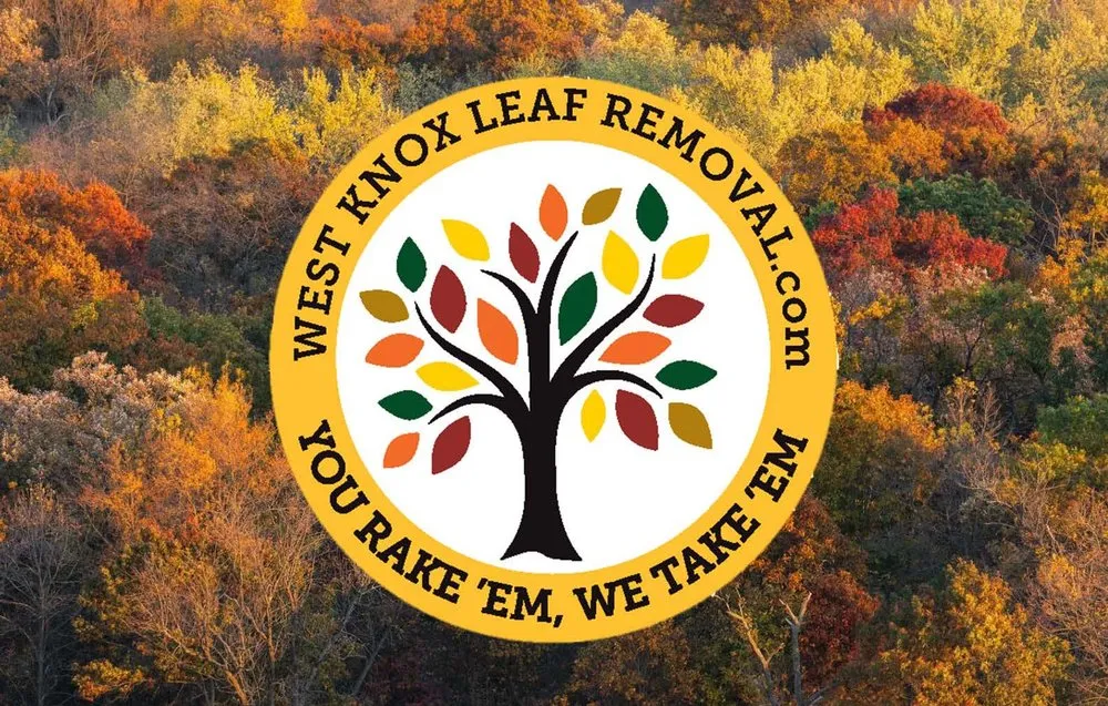 Custom lawn mowing service experts serving Knoxville, TN - West Knox Leaf Removal