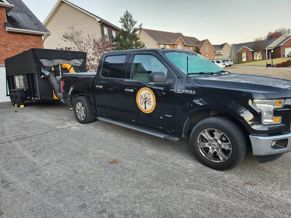 Trusted landscaping services in Knoxville, TN by West Knox Leaf Removal