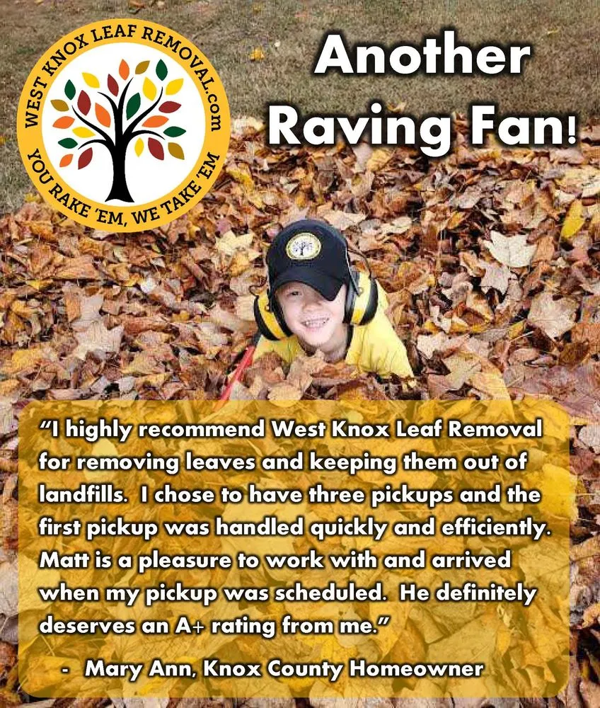 Top-rated yard maintenance experts serving Knoxville, TN - West Knox Leaf Removal