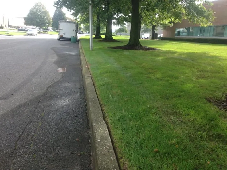 Expert yard maintenance for year-round maintenance in Madisonville, KY by West Ky Lawn Pro